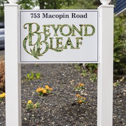 Beyond Bleaf
