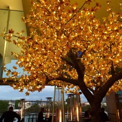 Bar Pacino - Indoor light tree, adds to to atmosphere! Very pretty!