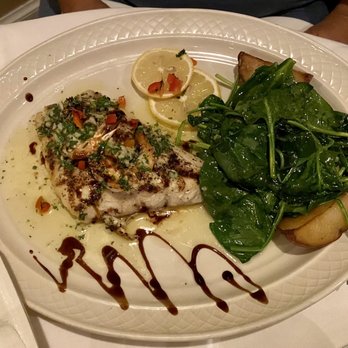 Tavira Restaurant - Snapper - Mediterranean Near Me - Chevy Chase, Maryland