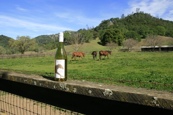 RUSTRIDGE RANCH & WINERY - 10 Photos & 12 Reviews - 2910 Lower Chiles ...