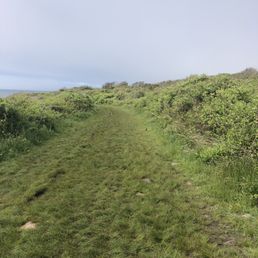 Grassy paths but beware of ticks!