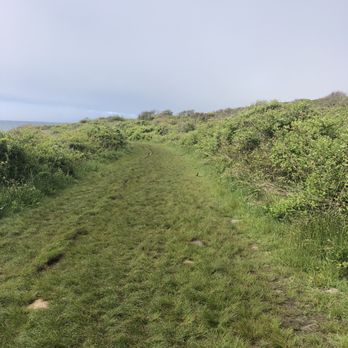 Black Point Fishing Area - Grassy paths but beware of ticks! - Fishing Near Me - Narragansett, Rhode Island
