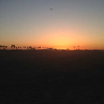 Rosie's Dog Beach - Dog Parks Near Me - Long Beach, California Rosie's Dog Beach - Dog Parks Near Me - Long Beach, California