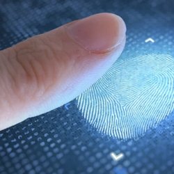 Express Live Scan And Notary - Livescan