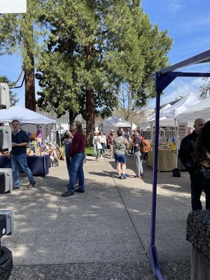 Eugene Saturday Market by null