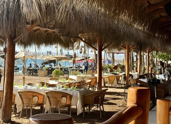 La Palapa Restaurant by null