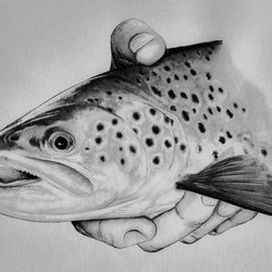 Sheboygan Fly Shop