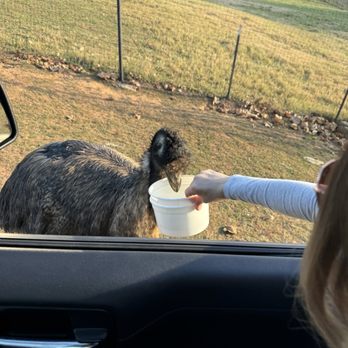 Nova Wild - Petting Zoos Near Me - Vienna, Virginia