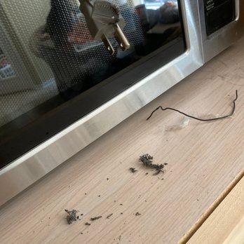 Appliance Outlet - The debris is the shredded burnt plastic from the plug - Appliances & Repair Near Me - Houston, Texas Appliance Outlet - The debris is the shredded burnt plastic from the plug - Appliances & Repair Near Me - Houston, Texas