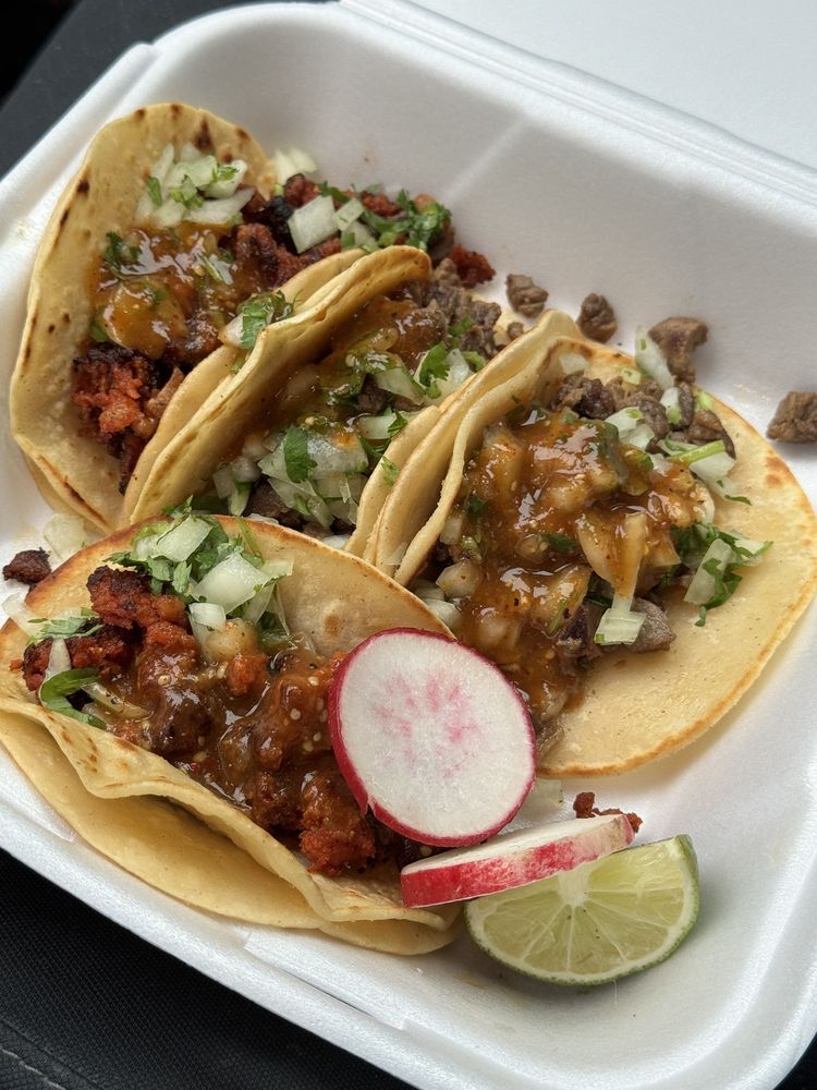 Taco Toms Lonchera Logo