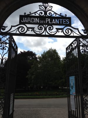 Jardin des Plantes by null