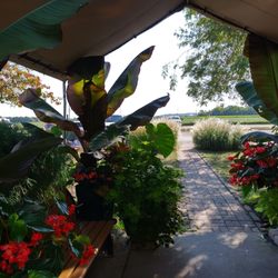 Country Crust Bakery - The patio is the place to sit and relax.
