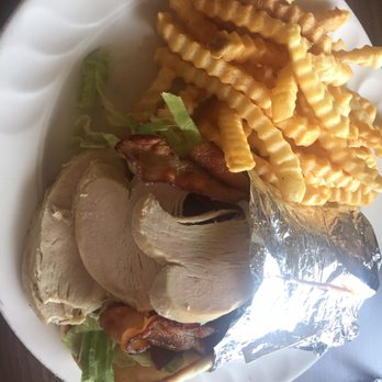 Apovini Grill - Club pita with a side of fries - Greek Near Me - Troy, Michigan