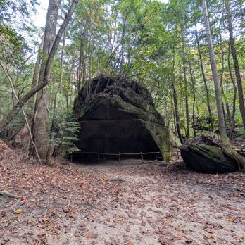 Dismals Canyon - Hiking the Dismals. - Parks Near Me - Phil Campbell, Alabama Dismals Canyon - Hiking the Dismals. - Parks Near Me - Phil Campbell, Alabama