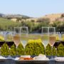 Photo of Divine Wine Tours