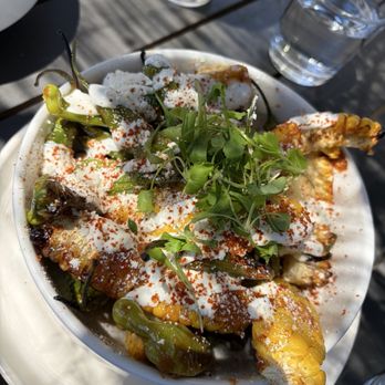 Sonoma Pizza Co. - Charred Corn Ribs & Shishitos - Pizza Near Me - Forestville, California