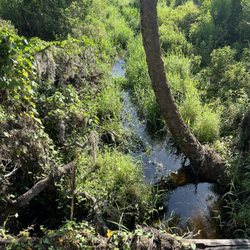 Bobby Jones Golf Complex - Stream along nature trail May 2025