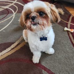 Penny
