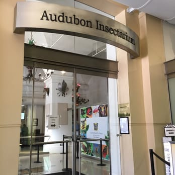 Audubon Insectarium - Zoos Near Me - New Orleans, Louisiana Audubon Insectarium - Zoos Near Me - New Orleans, Louisiana