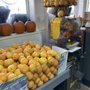 Union Street Produce Company