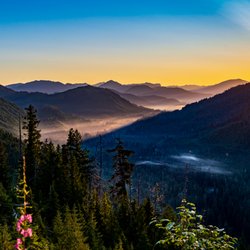 Tongass Teague - Ketchikan Backcountry Tongass SUV Tour