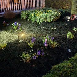 High 5 landscaping