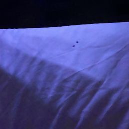 Stained bed sheets Stained bed sheets