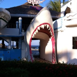 Shark
