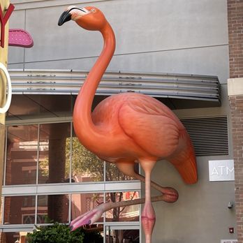 Flamingo Las Vegas - Hotels Near Me - Las Vegas, Nevada Flamingo Las Vegas - Hotels Near Me - Las Vegas, Nevada