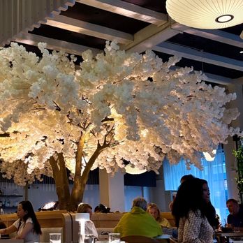Janken - Japanese Near Me - Portland, Oregon