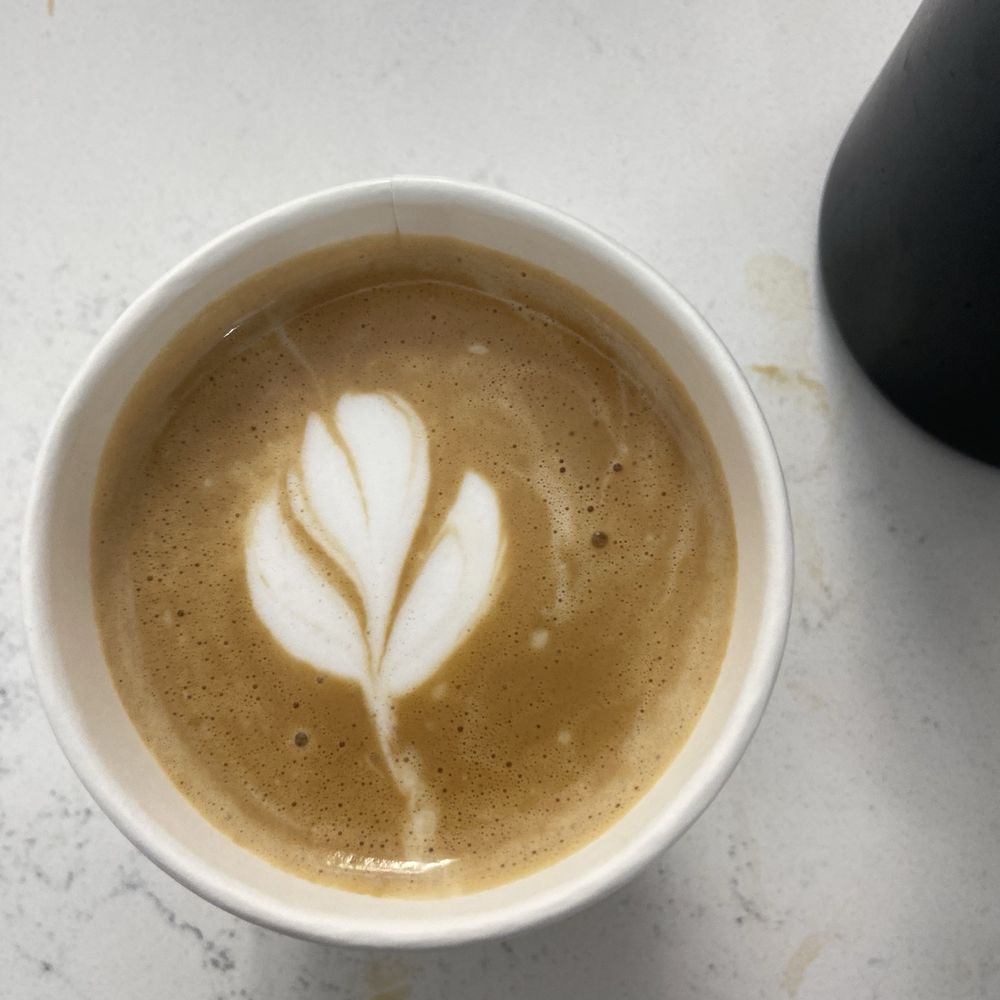 Five & Hoek Coffee - Coffee & Tea Near Me - Wheaton, Illinois