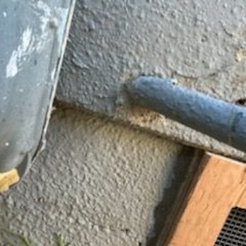Rodent Control - Pest Control Near Me - Los Angeles, California
