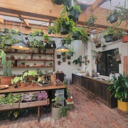 Solarium