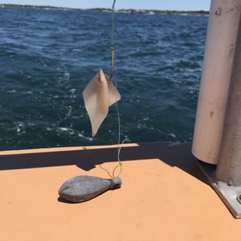Fish'n Tales Adventures - Boat Tours Near Me - Newport, Rhode Island