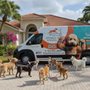 Photo of Doggy Dog Runners Club