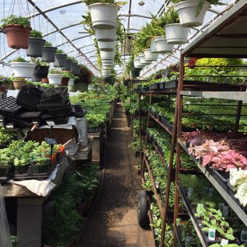 Alpine Nursery & Garden Center - Another space - Nurseries & Gardening Near Me - Belleville, New Jersey Alpine Nursery & Garden Center - Another space - Nurseries & Gardening Near Me - Belleville, New Jersey
