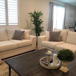 Kimberly's Indoor Plants