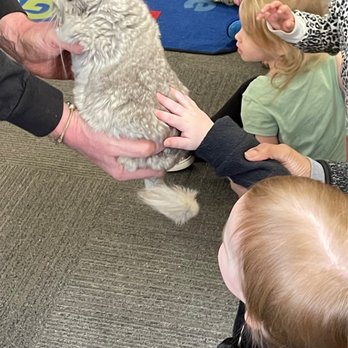 Green House Montessori School - In school field trip meeting exotic animals! - Montessori Schools Near Me - Ann Arbor, Michigan Green House Montessori School - In school field trip meeting exotic animals! - Montessori Schools Near Me - Ann Arbor, Michigan