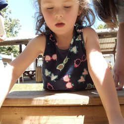 Critter Country Animal Farm - Looking for fossils