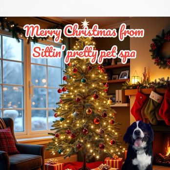 Sittin' Pretty Pet Spa - Merry Christmas from sitting pretty - Pet Groomers Near Me - Roseville, Michigan Sittin' Pretty Pet Spa - Merry Christmas from sitting pretty - Pet Groomers Near Me - Roseville, Michigan