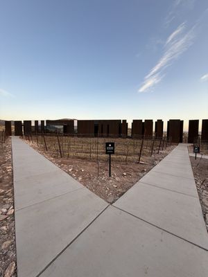 Los Milics Vineyards by null