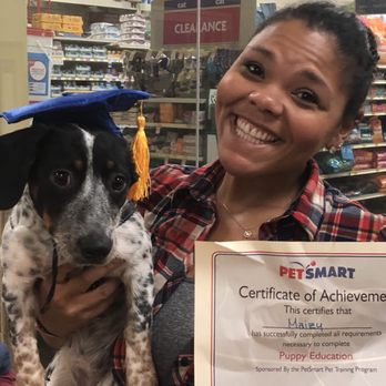Cattledog Cookie Company - Maisie and Blairey! - Pet Stores Near Me - Issaquah, Washington
