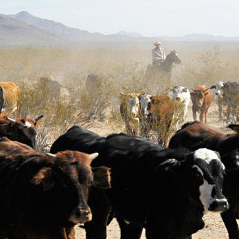 Robson's Ranch & Mining Camp - Venues & Event Spaces Near Me - Wickenburg, Arizona Robson's Ranch & Mining Camp - Venues & Event Spaces Near Me - Wickenburg, Arizona