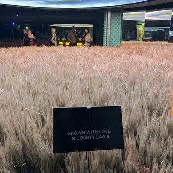 Guinness Storehouse - Breweries Near Me - Dublin, D