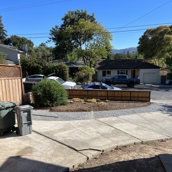 All Stars Tree Service - Here's my redwood bush that isn't supposed to be here. This tree was cut down, but not removed, so I'm still dealing with it. - Tree Services Near Me - Novato, California