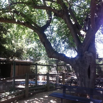 Applegate Park Zoo - Lots of shade while you enjoy the zoo - Zoos Near Me - Merced, California Applegate Park Zoo - Lots of shade while you enjoy the zoo - Zoos Near Me - Merced, California