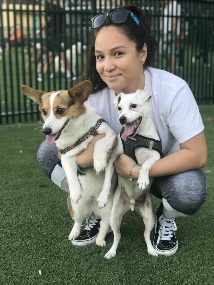 TLC PET SERVICES Updated September 2024 99 Photos Miami, Florida