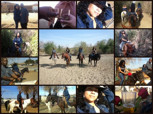 S&D Horseback Riding by null