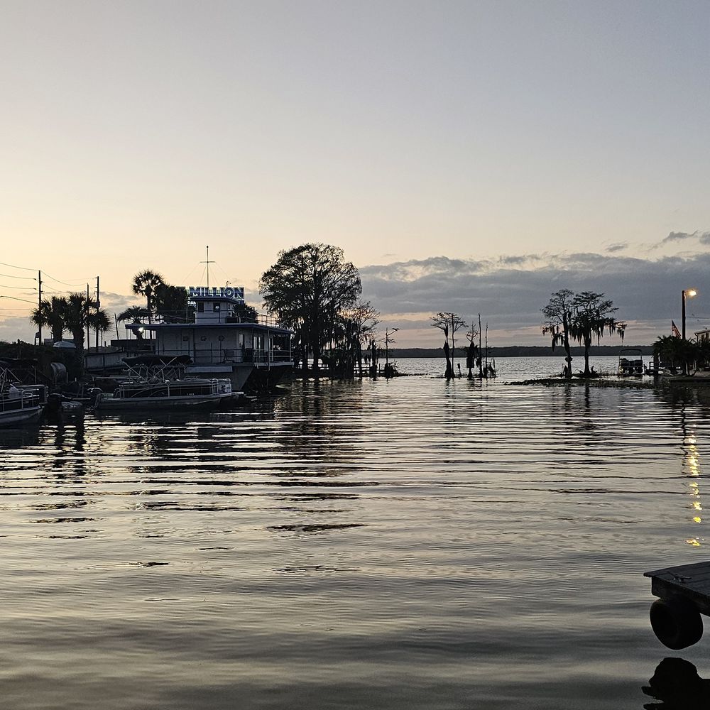 Fish Camp On Lake Eustis - Seafood Near Me - Tavares, Florida