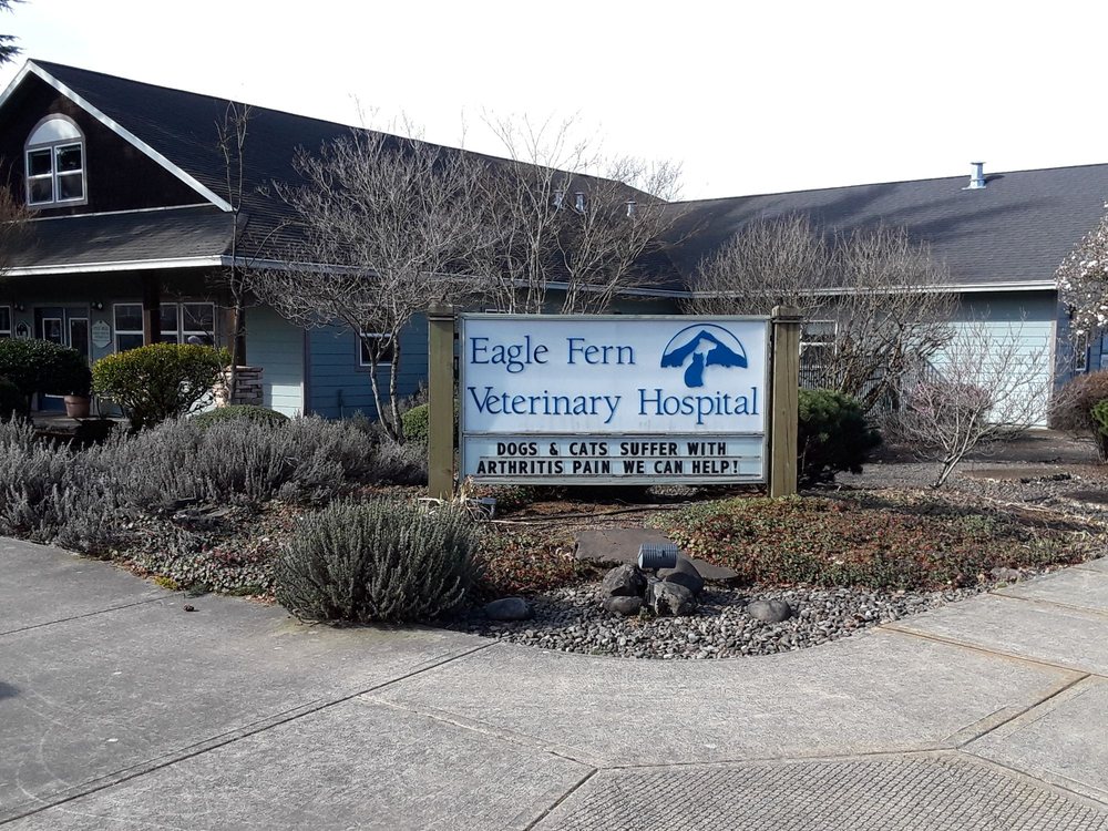 EAGLE FERN VETERINARY HOSPITAL 23 Photos Veterinarians 585 NW